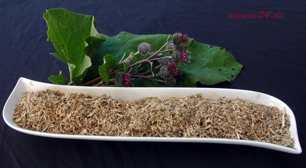 Bardana En Raíz. Planta En Bolsa - 100 Gr. Botánica Verde