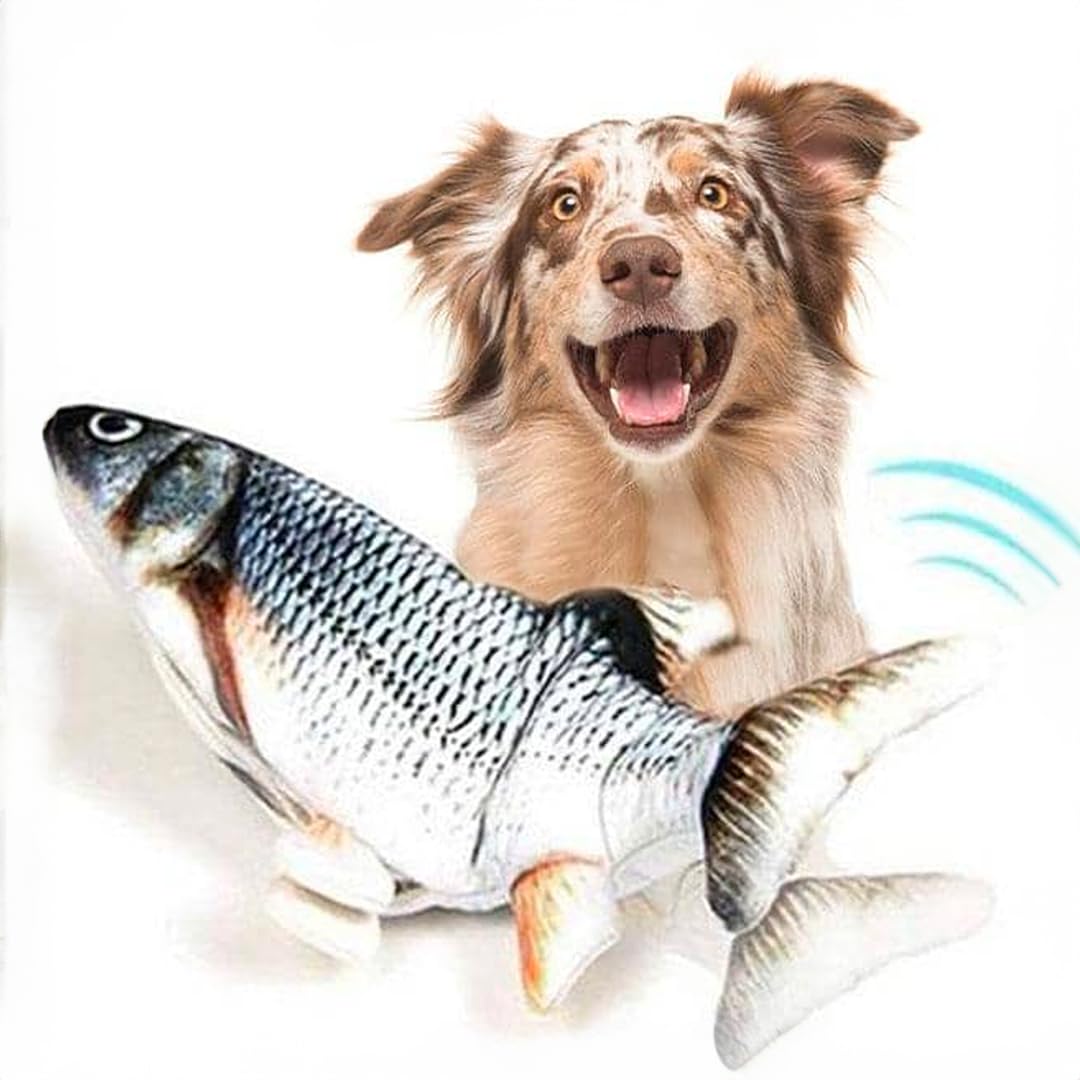 See full amazon price history chart for Kidology Floppy Fish Soft Toy for Dogs, Puppy Chew & Kicker Toy, Activated Moving Dog Toy with USB-Chargeable Plush Interactive Toy for Indoor Playing, Relaxing, Exercising Kidology Floppy Fish Soft Toy for Dogs, Puppy Chew & Kicker Toy, Activated Moving Dog Toy with USB-Chargeable Plush Interactive Toy for Indoor Playing, Relaxing, Exercising (B0CC5D5JYQ) Amazon Price History, Amazon Price Tracker