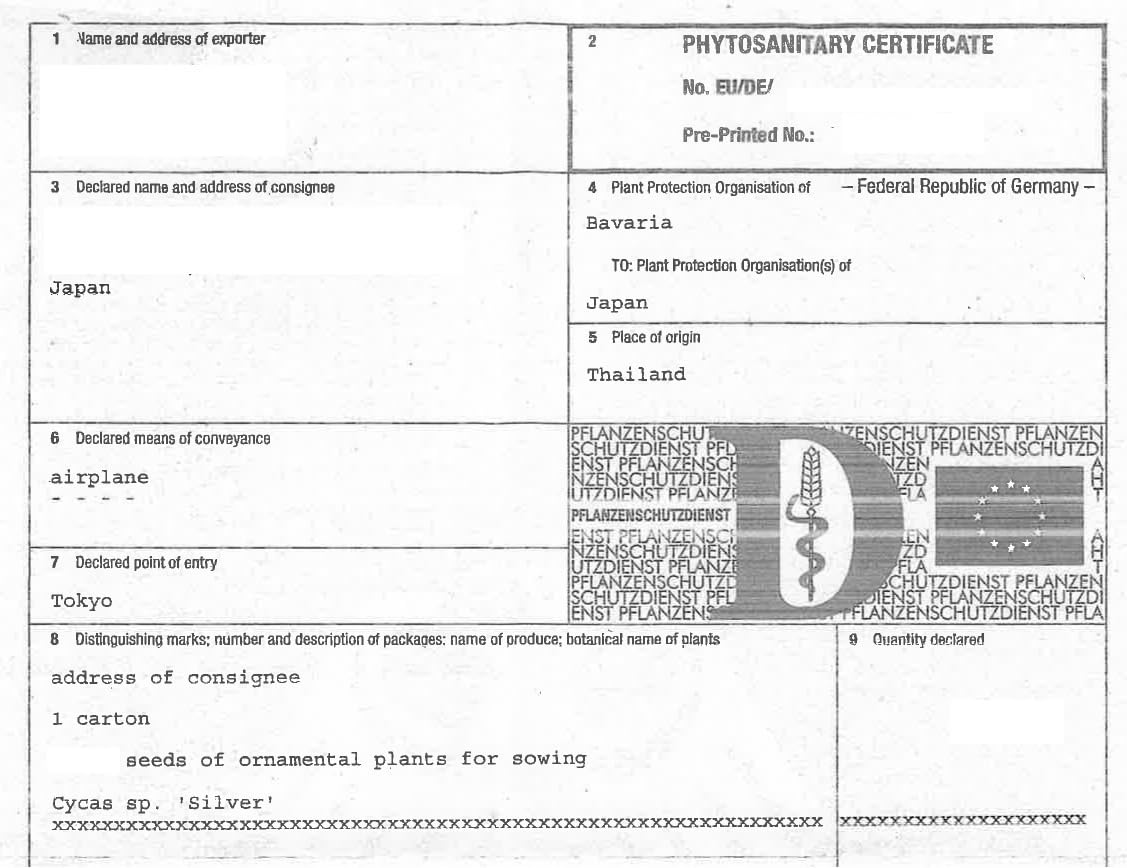 Amazon.co.jp: 5月入荷 10粒+@ サイカス sp. シルバー（タイシルバー