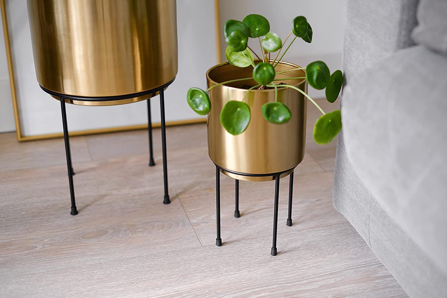 INSHREYS Set of 3 Mid Century Golden Large Planters with Black Metal Stand for Snake, Palm, Spider, Monstera Plant Modern Decorative Purpose for Living Room, Balcony, Entrance, Office Reception 3