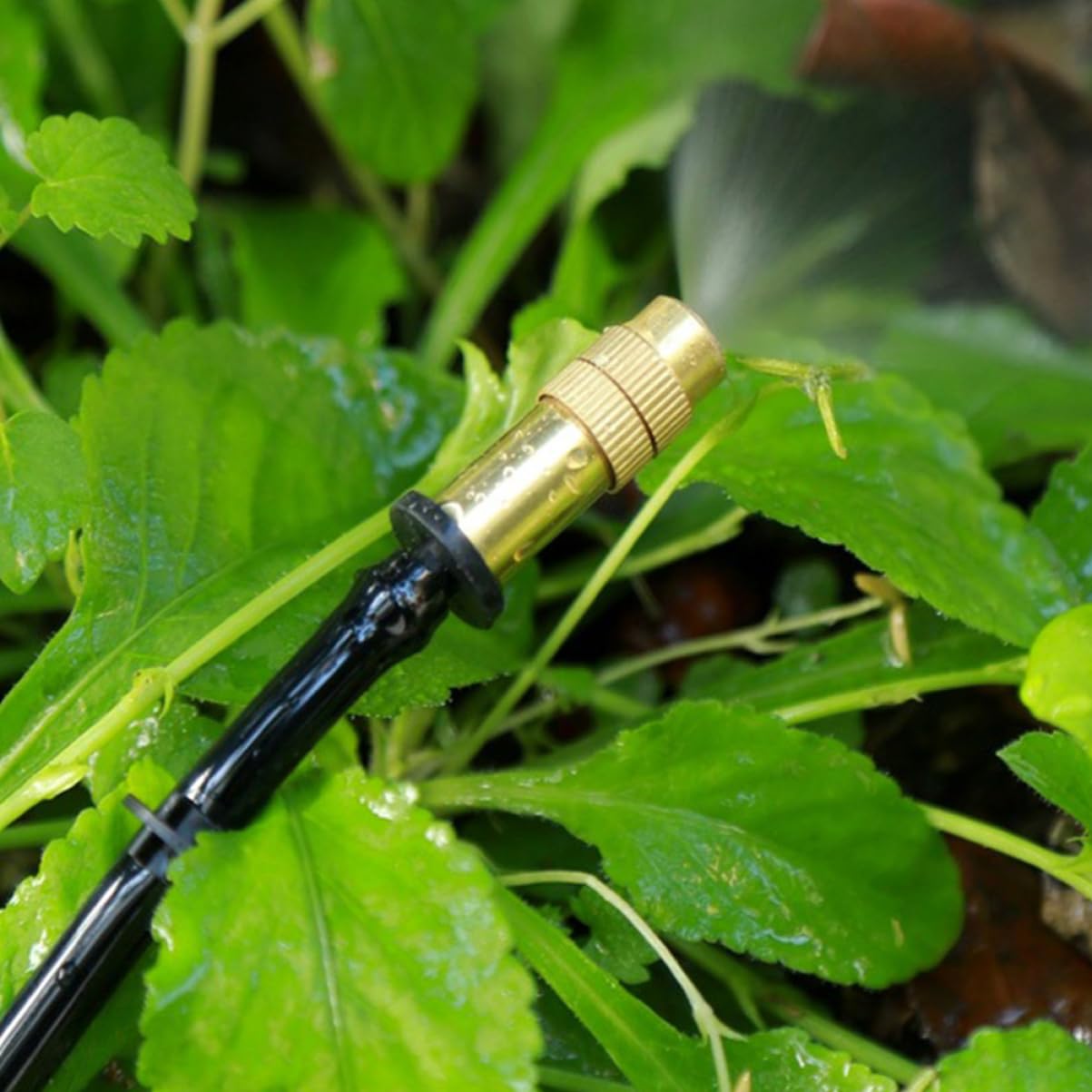 Toyvian 80stücke Teiliges Verstellbare Niederdruck-mistdüsen Kupfer Für Gartenbewässerung Sprühkopfanpassung Für Gartenschläuche Und Sprinkleranwendungen