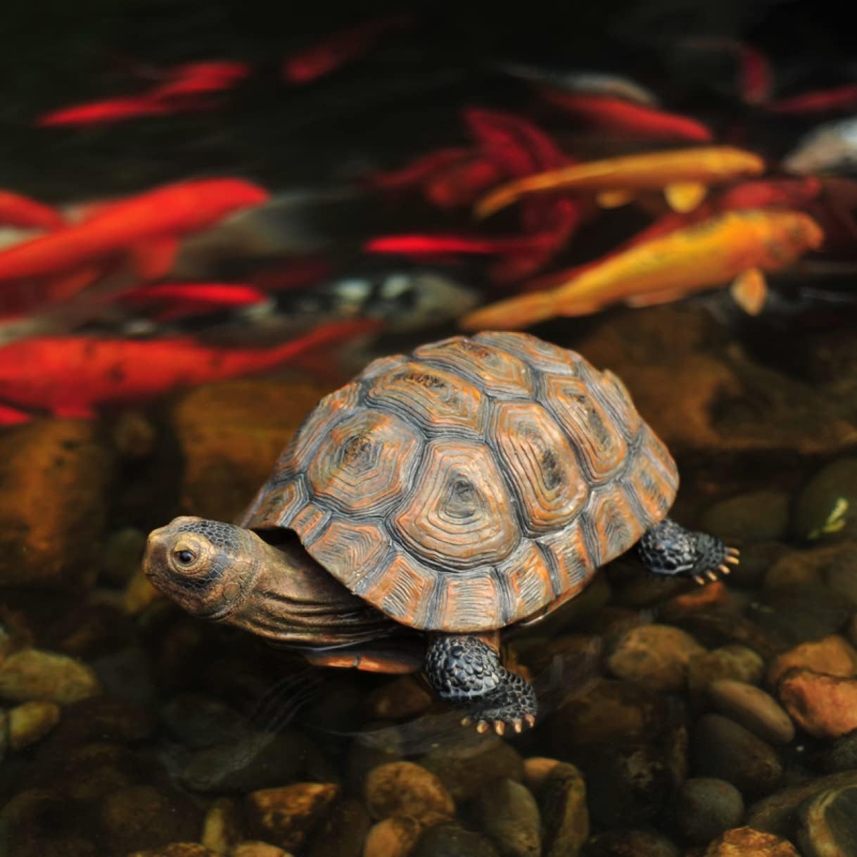 Amazon.co.jp: インテリア雑貨 カメ リアル おもちゃ かっこいい