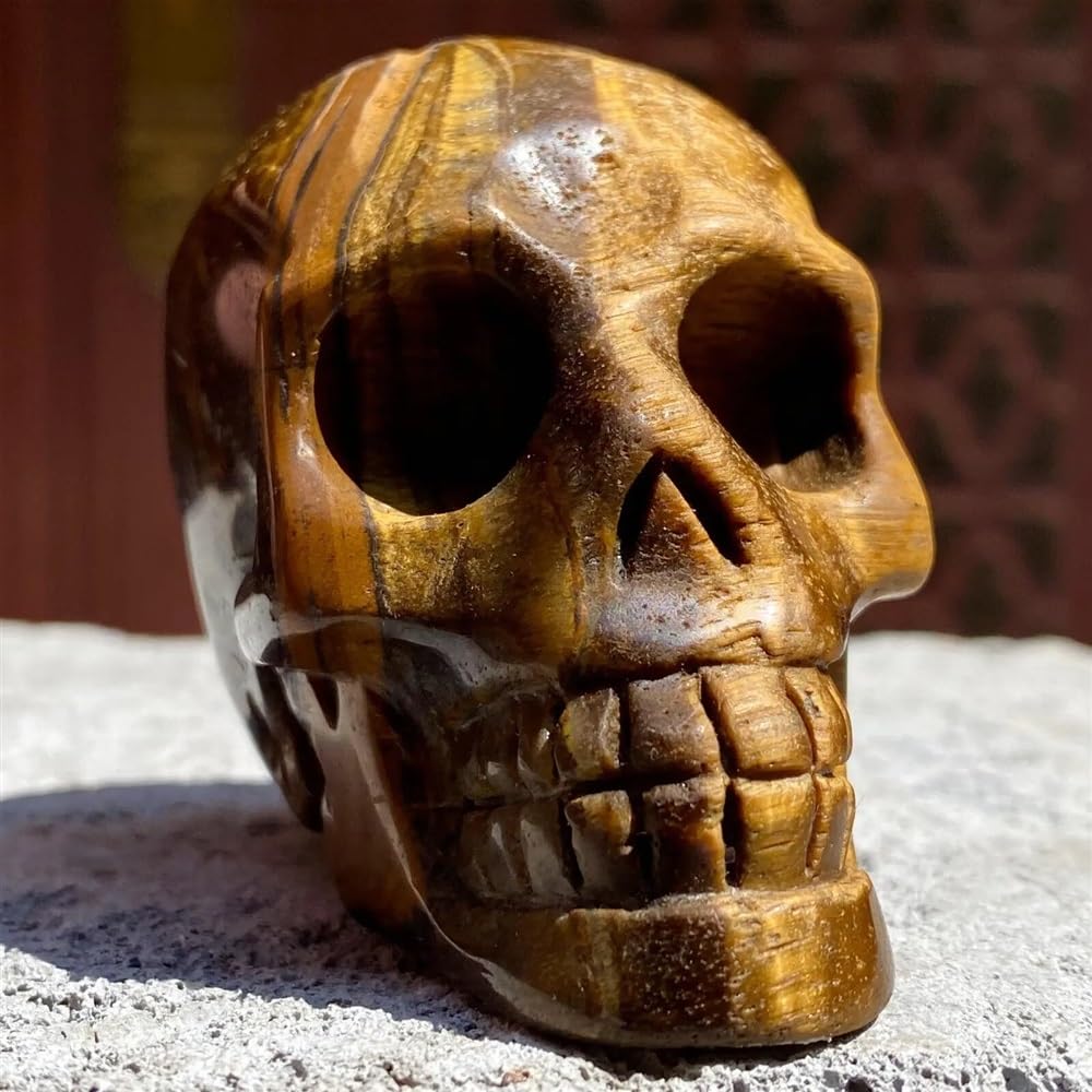 PKNVKZIDK Polished Yellow Tiger's Eye Quartz Crystal Stone Carved Skull (Size : 800-850g)