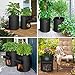 SunFea Bolsa de Cultivo de Plantas, Maceta de Cultivo de Plantas, Saco...