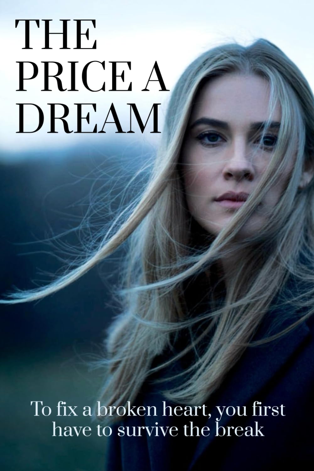 The Price A Dream: To fix a broken heart you first have to survive the break.