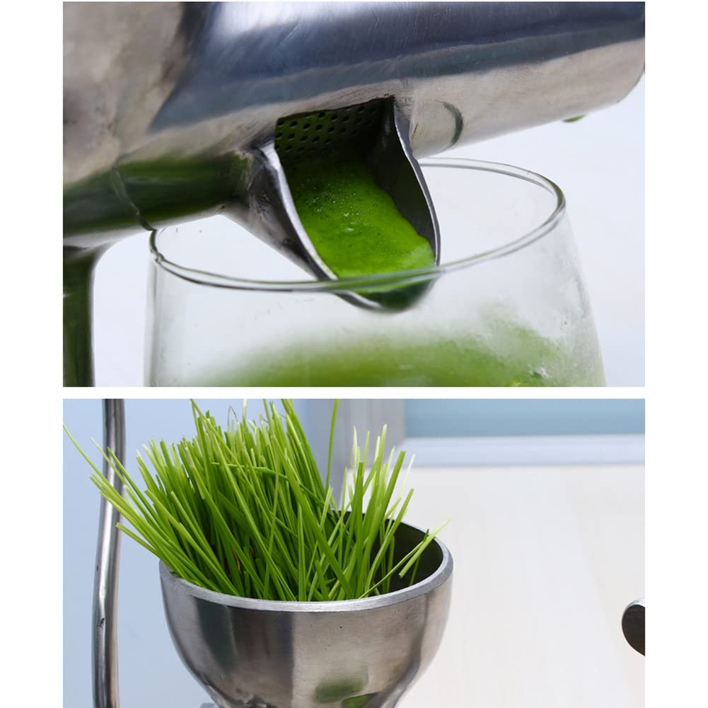 Exprimidor Manual de Hierba de Trigo Manual de Acero Inoxidable Extractor de Prensa de Naranja Vegetal y Hierba de Trigo