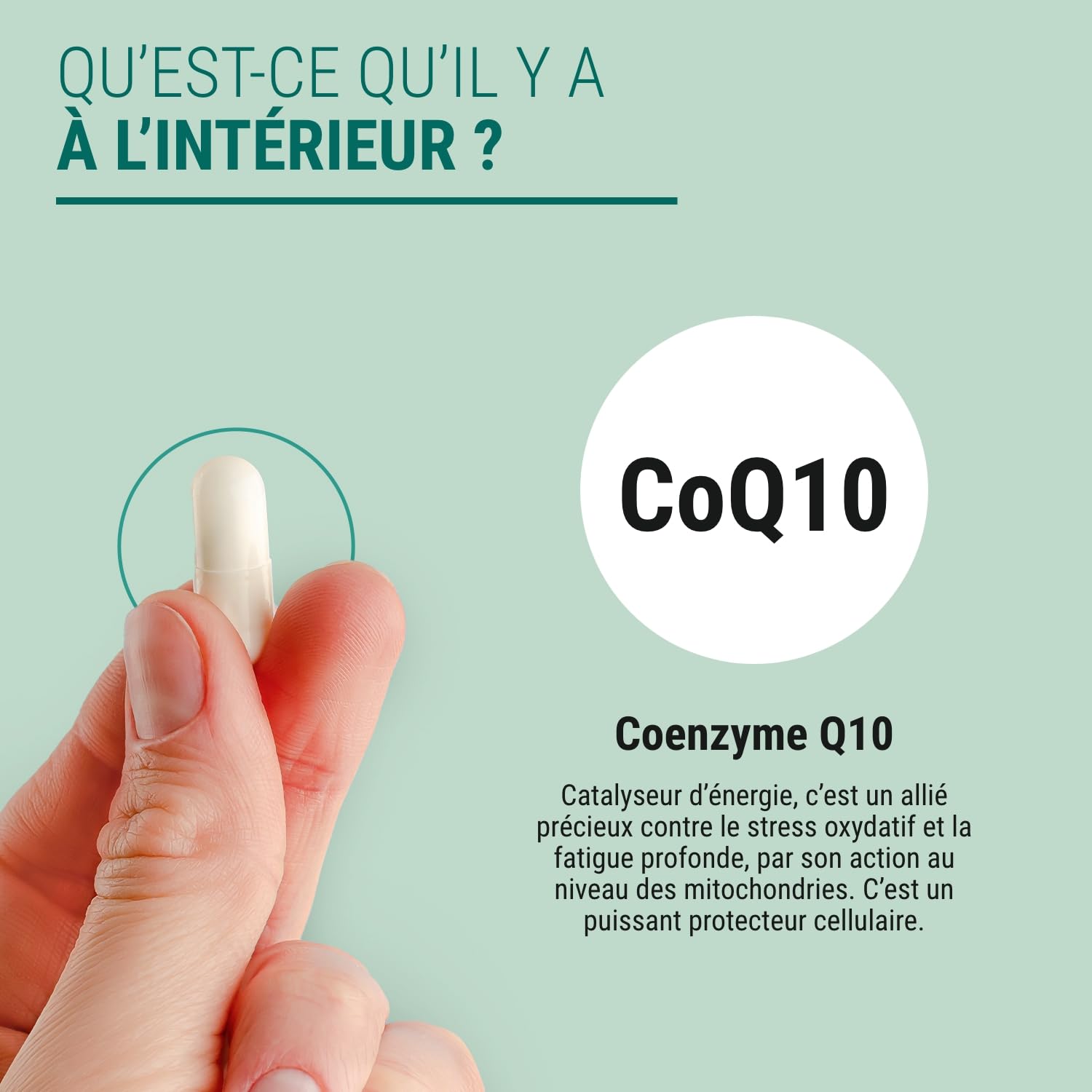 CO-ENZYME Q10 - Ubiquinone Concentrée - Complément Alimentaire Stress Oxydatif Fatigue Profonde, Beauté de la Peau - 150 Gélules - Fabriqué en France - Vegan - Sans Additifs Allergènes OGM