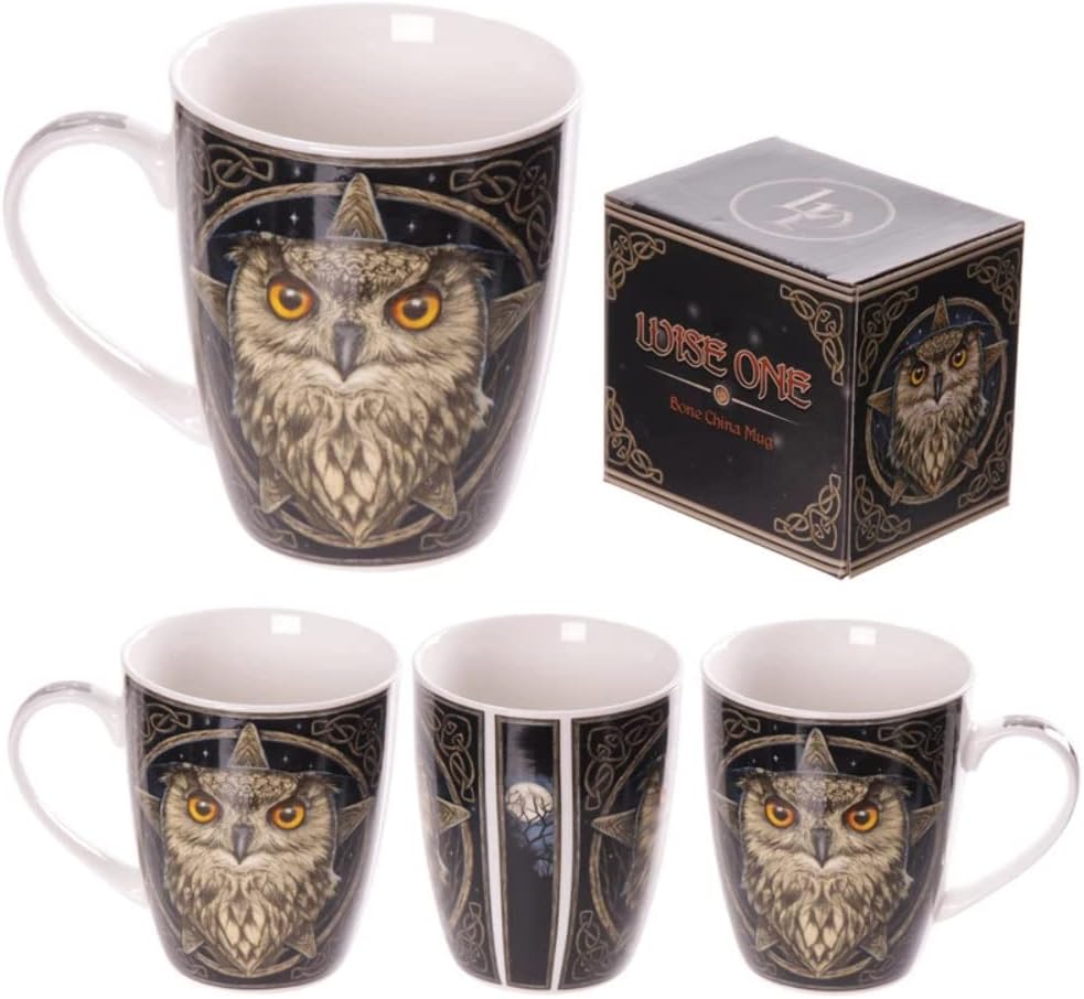 Gifts Xmas New Year MULP29 Bone China Wise Owl Design Mug