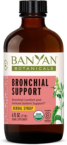 Banyan Botanicals Apoyo bronquial - Jarabe de hierbas orgánicas para niños y adultos - Fórmula de apoyo respiratorio calmante con regaliz y raíz de