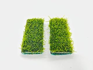 ウィローモス モスマット 2枚セット 無農薬・無害虫｜綺麗に育つ1カ月分栄養素付き｜水槽用水草 エビ・メダカ対応 初心者向け