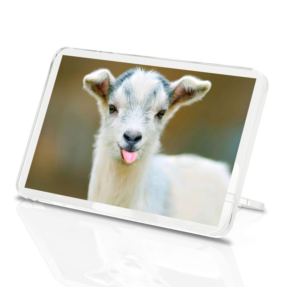 1 x Baby Goat Animals Pets Farm Feed Classic Fridge Magnet Kitchen#3670
