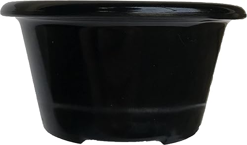 Miniatura 7 de Carlisle FoodService Products Moldes de plástico, tazón para salsas, catering, cocina, restaurante, 3 onzas, negro, (paquete de 48)