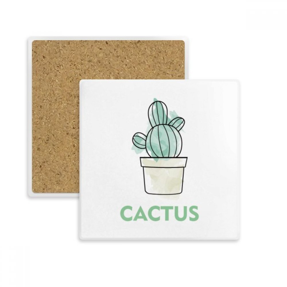 Succulentes plante en pot coaster haut de gamme en pierre