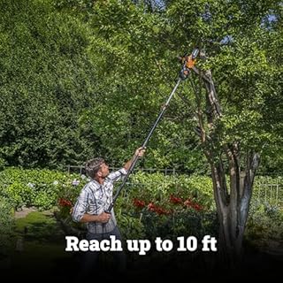 WORX Pole Saw, 8 Amp 10" Electric Pole Saw, Up to 10 ft., 28 ft/s chain speed
