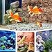 POPETPOP 3Pcs Natural Reptile Terrarium Bark Decor Multi-Function Fish Tank Background for Reptile and Aquarium Landscaping Easy Placement and Safe for Pets