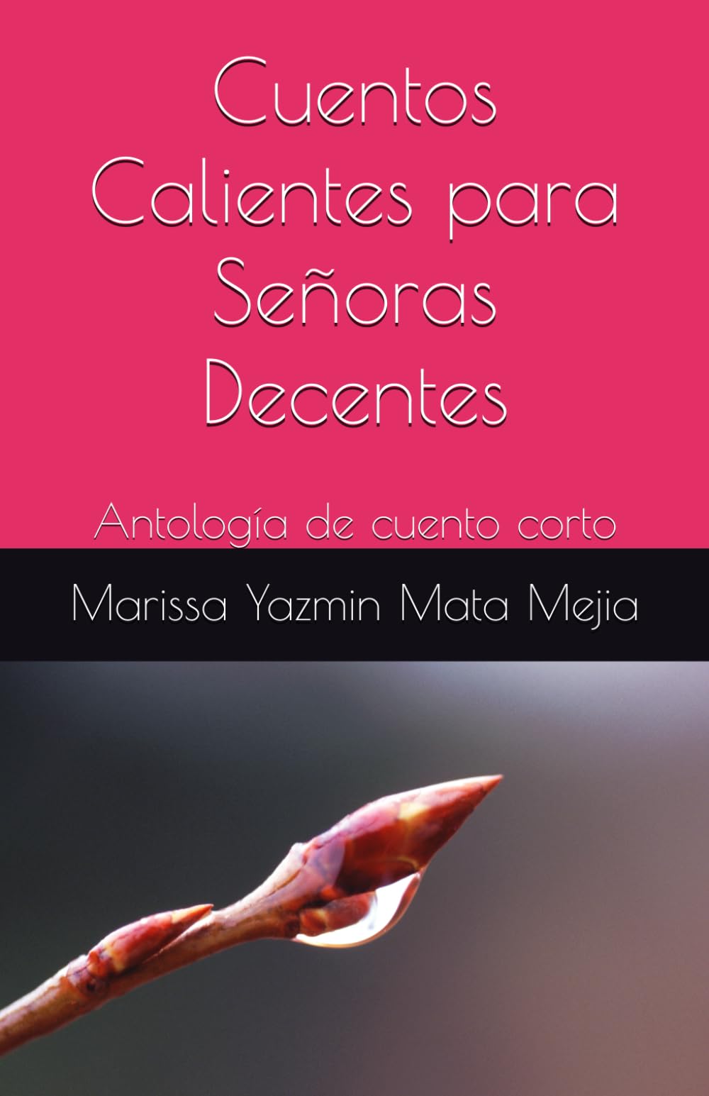 Cuentos Calientes para Señoras Decentes: Antología de cuento corto