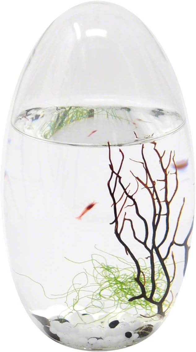 EcoSphere Closed Aquatic Ecosystem, Small Pod