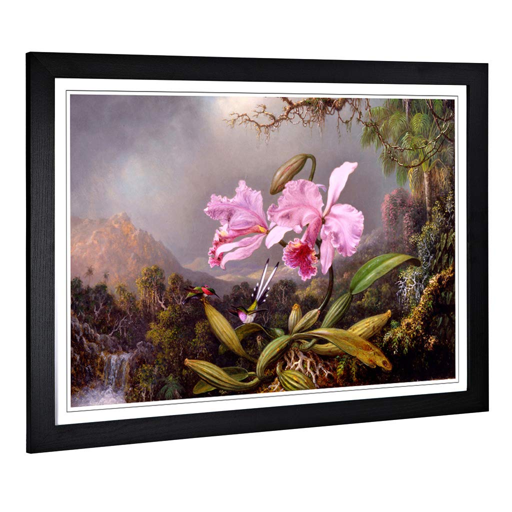 Big Box Art Framed Print of Martin Johnson Heade Orchid Study Design | Wall Art Picture | Home Decor for Kitchen, Living Room, Bedroom, Hallway, Black, A2 / 24.5x18 Inch / 62x45cm
