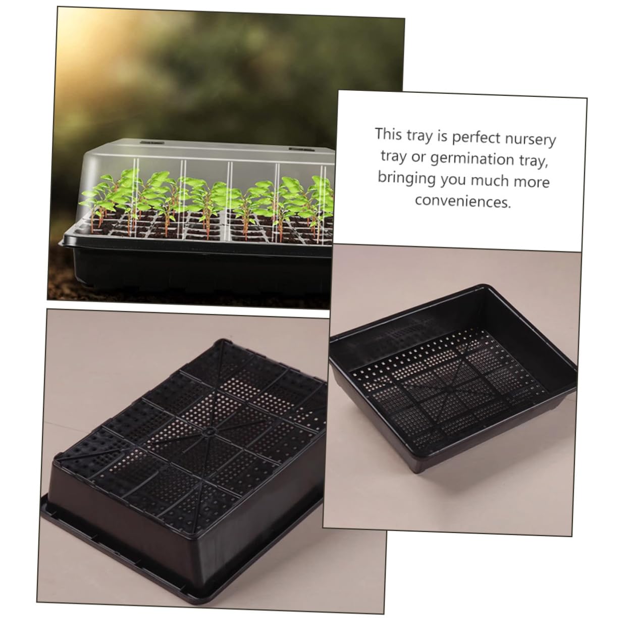 Toddmomy Plateau de Germination avec Dôme, 1 Lot en Plastique pour Semis