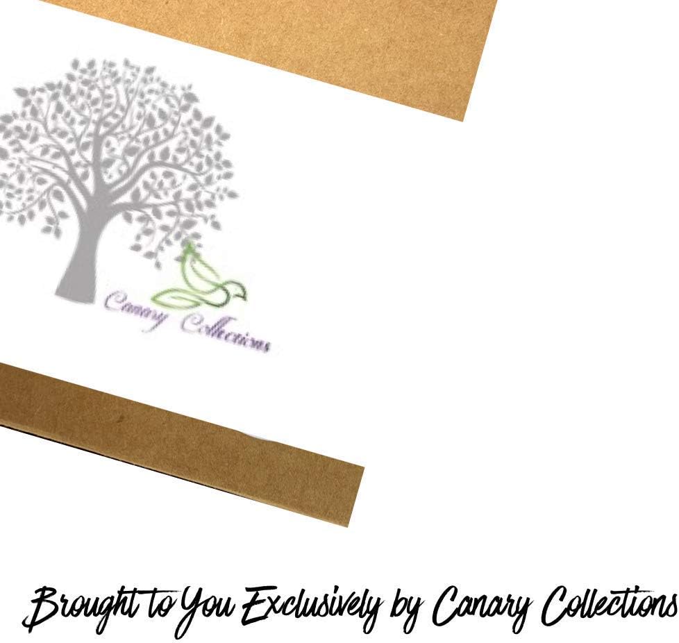 Canary Collections Green Succulent Metal Wall Decor - Blue - Pink - Green - 3 Pack Set