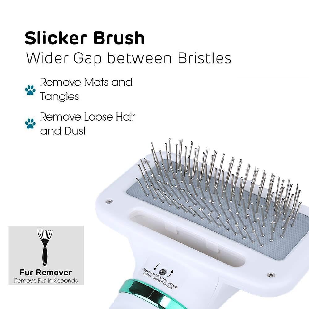 2 in 1 Asciugacapelli per cani Portatile Pet Asciugacapelli Spazzola Pettine Cucciolo Gatto Pettine per Capelli Soffiatore di Pelliccia di Cane Asciugacapelli Pet Grooming