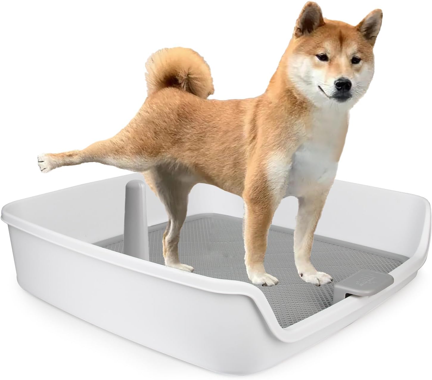 ALL FOR PAWS Pee Pad Holder, Dog Litter Box Large Size, Dog