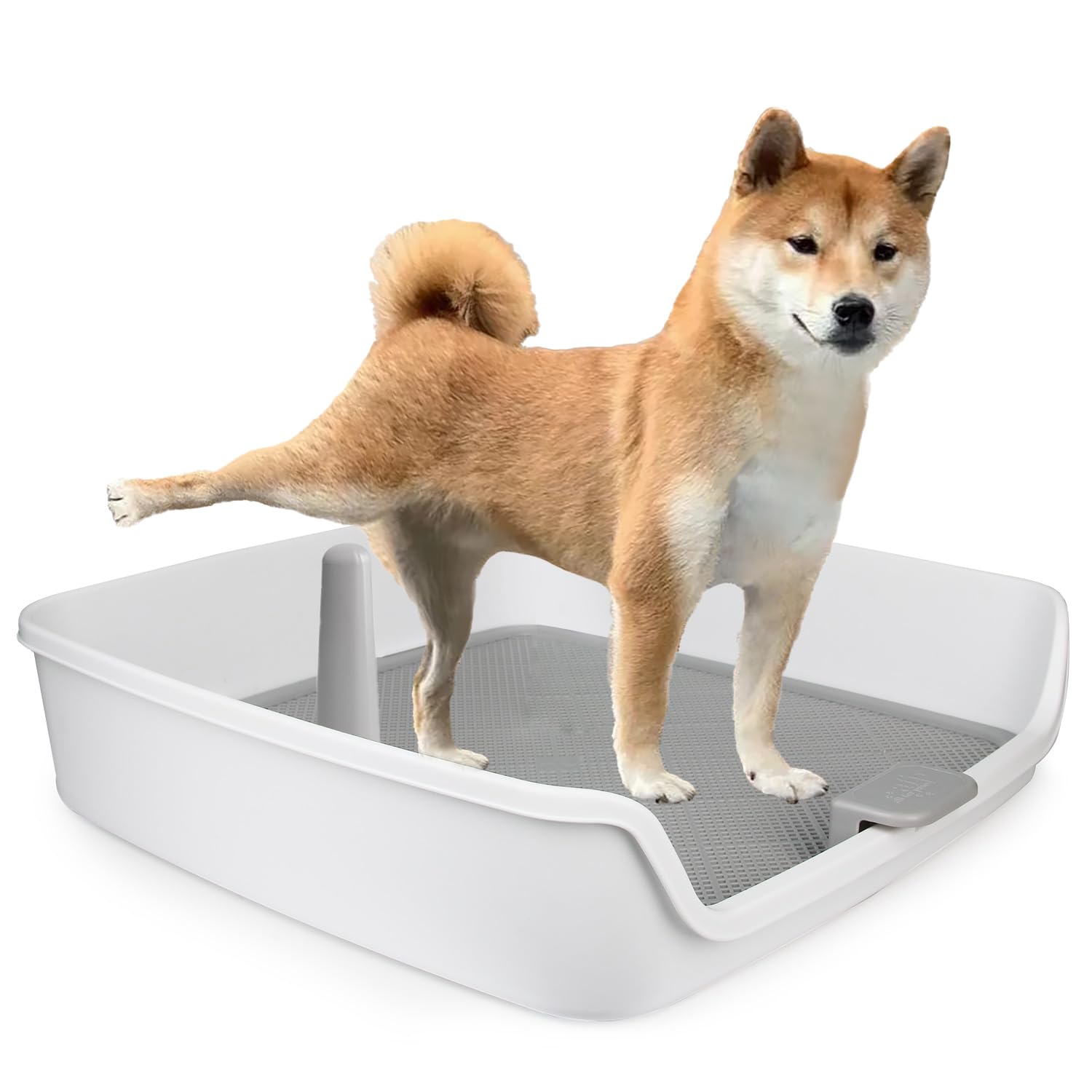 ALL FOR PAWS Pee Pad Holder, Dog Litter Box Large Size, Dog Pads/Puppy Pads Holder, Dog Potty Tray for Dog Potty Training,24.8" x 24.8"