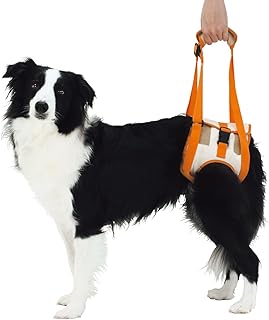 amazon help em up harness