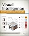 Visual Intelligence: Microsoft Tools and Techniques for Visualizing Data