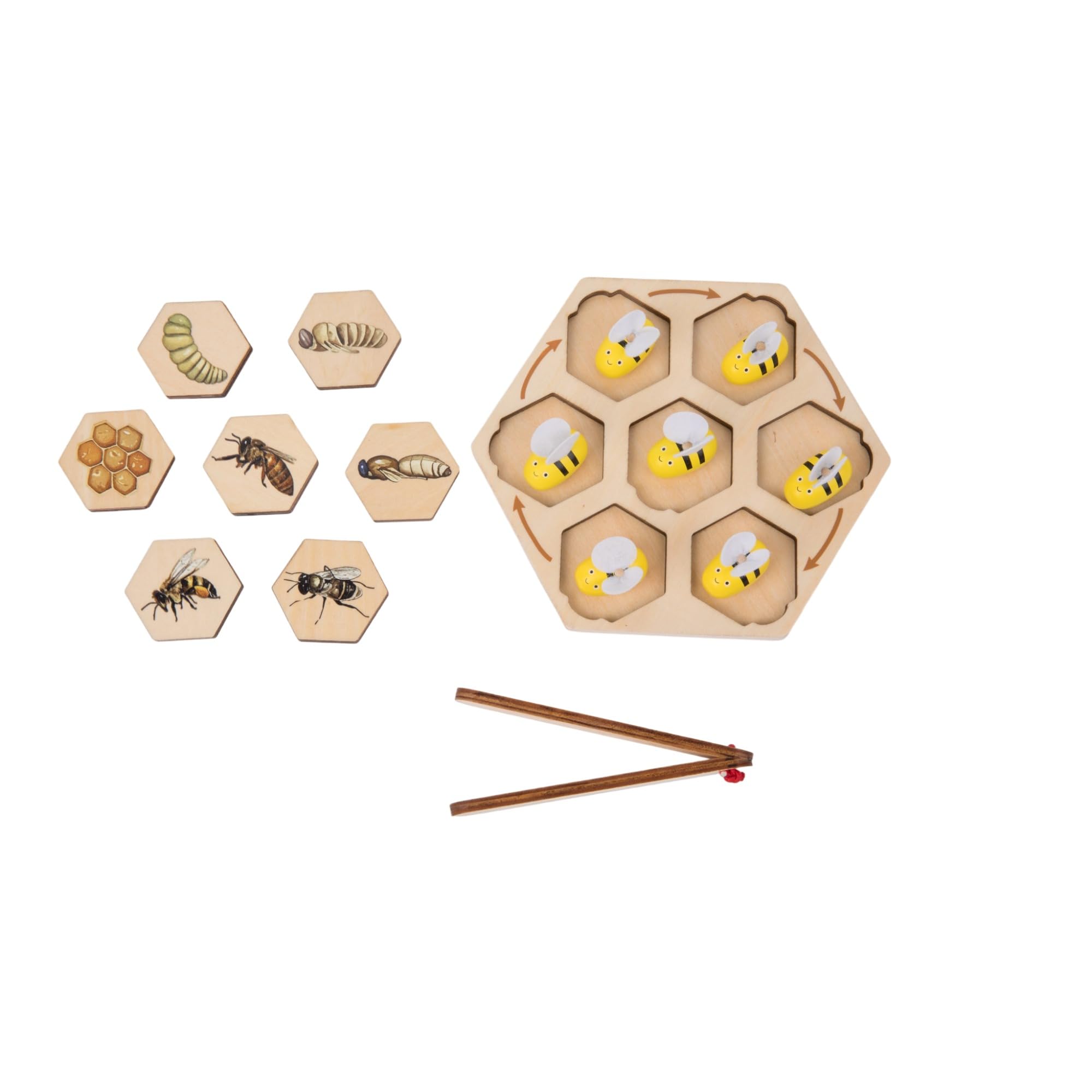Montessori - Rompecabezas de ciclo de vida de abeja de madera para niños de 3 a 6 años | Aprende roles de colmena: reina, trabajador, dron, rompecabezas realista de insectos con bandeja y abrazadera 2