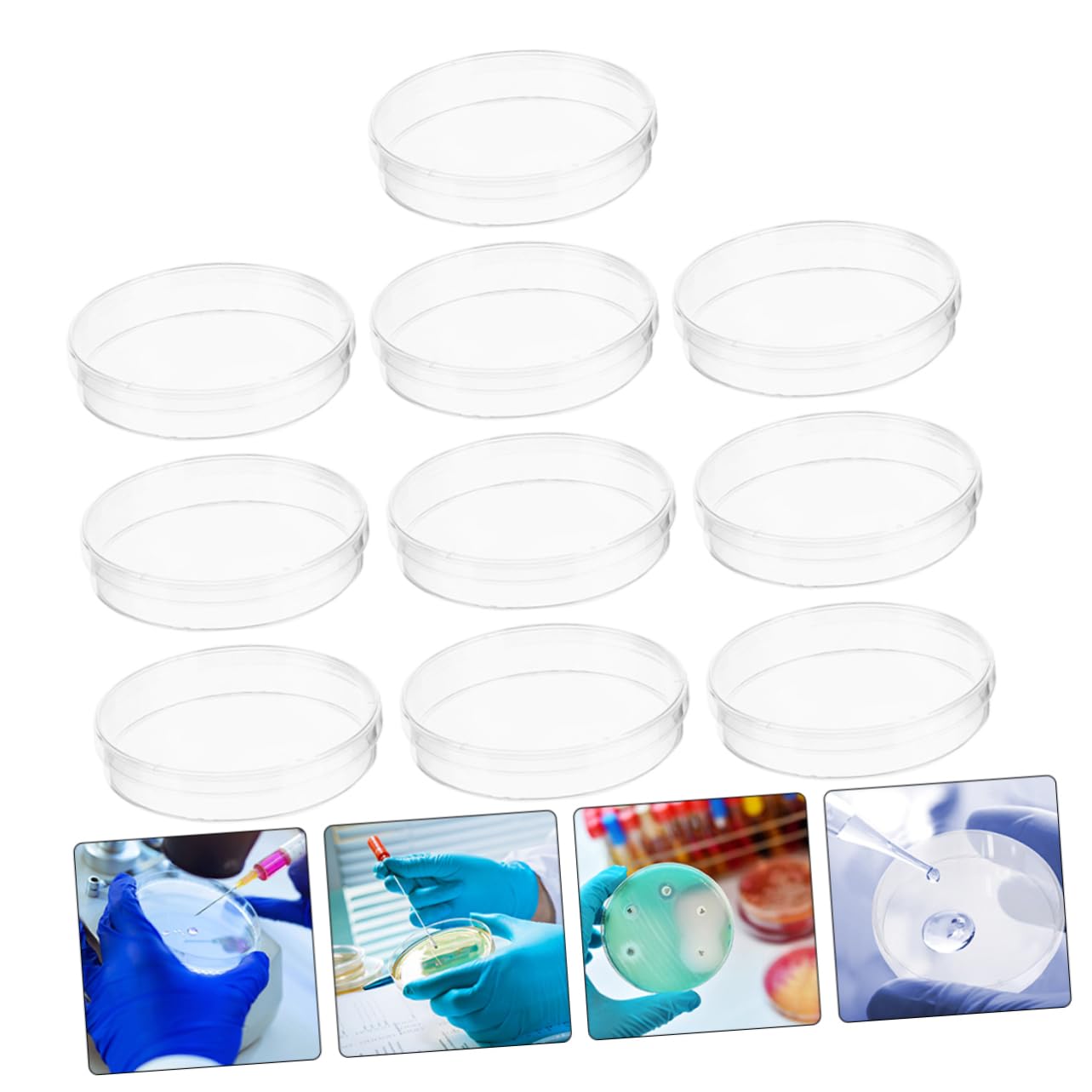 Mobestech 50pezzi Piastre Di Petri Trasparenti Con Coperchio Per Laboratorio Piastre Per Coltura Tissutale Per Esperimenti Scientifici e Analisi Mediche