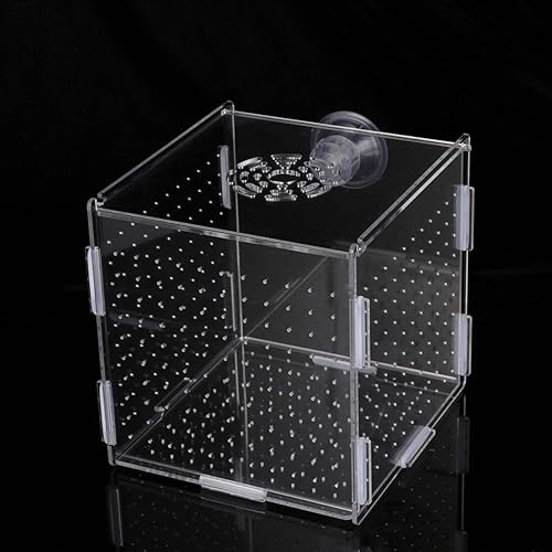 Miniatura 38 de Caja de cría de peces, caja de incubadora de incubadora, cajas de cría de peces de acuario, cajas divisorias para eclosionar, accesorio