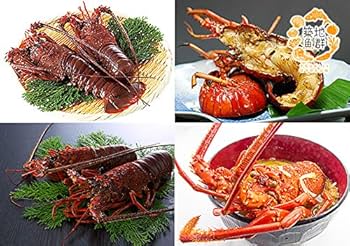 伊勢海老(冷凍)2kg4本！オーさん！ bbq-001-8-2.jpg