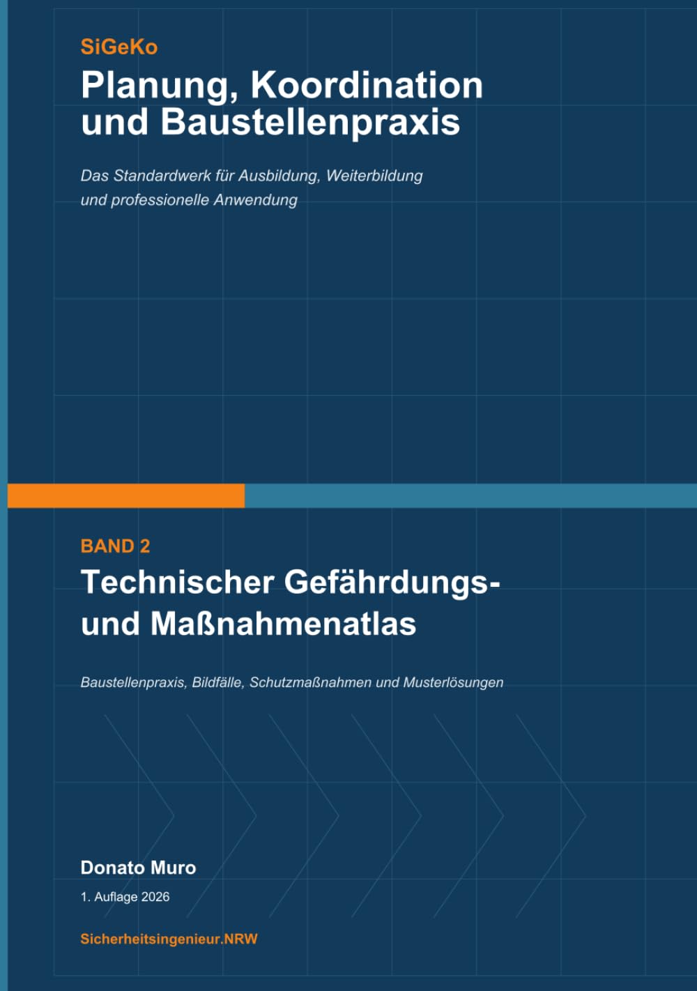 Professionelle Sicherheits- und Gesundheitsschutzkoordination: Technischer Gefährdungs- und Maßnahmenatlas: Baustellenpraxis, Bildfälle, Schutzmaßnahmen und Musterlösungen