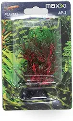 Maxxi Plantas AP135A 7,5cm