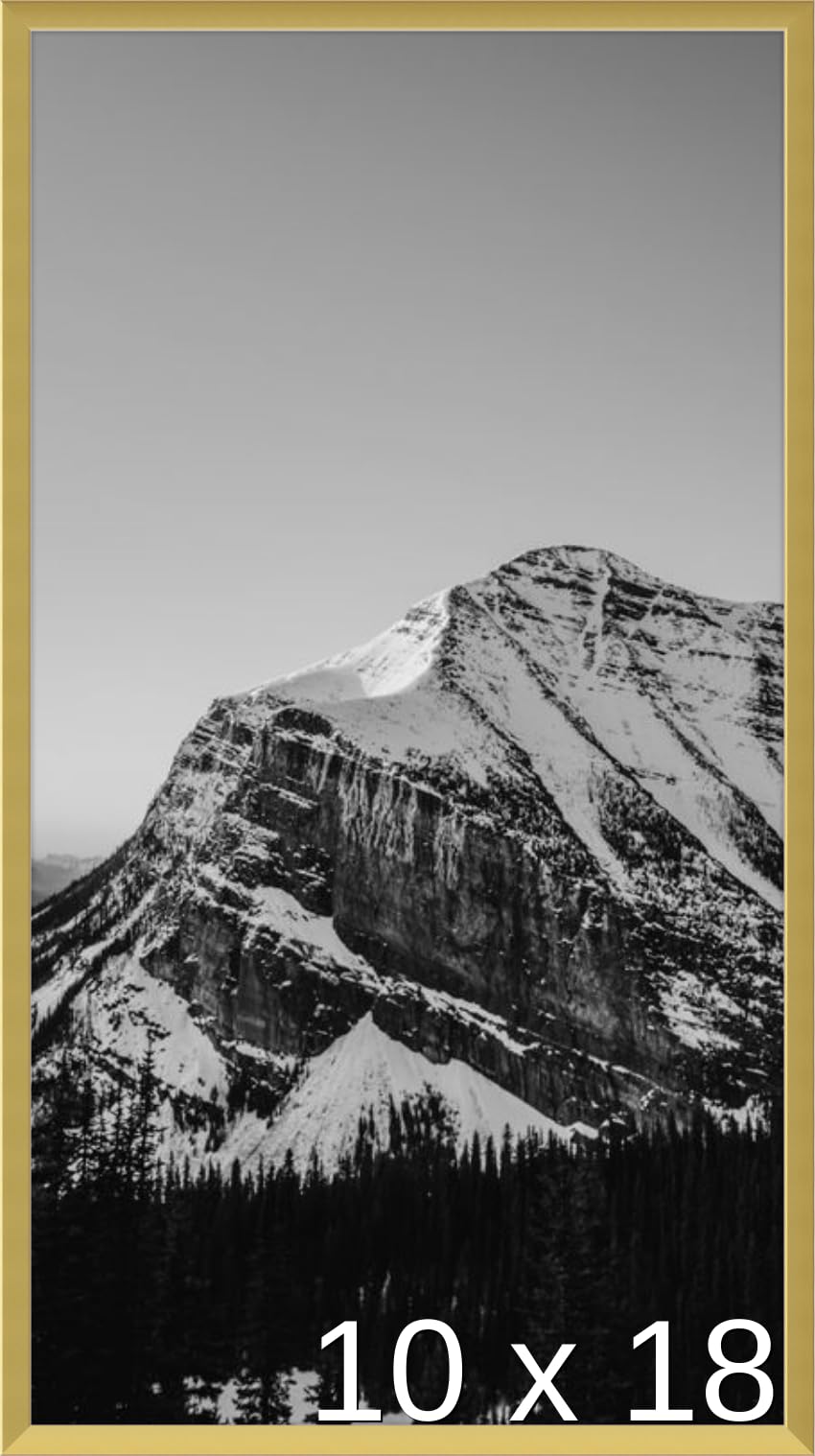 Frame It Easy 10 x 18 Satin Gold Metal Frame (Ashford)