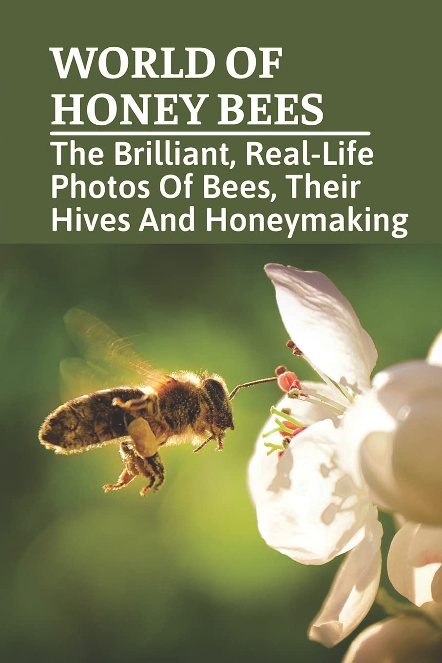 World Of Honey Bees: The Brilliant, Real-Life Photos Of Bees, Their Hives And Honeymaking: Bee Facts For Kids