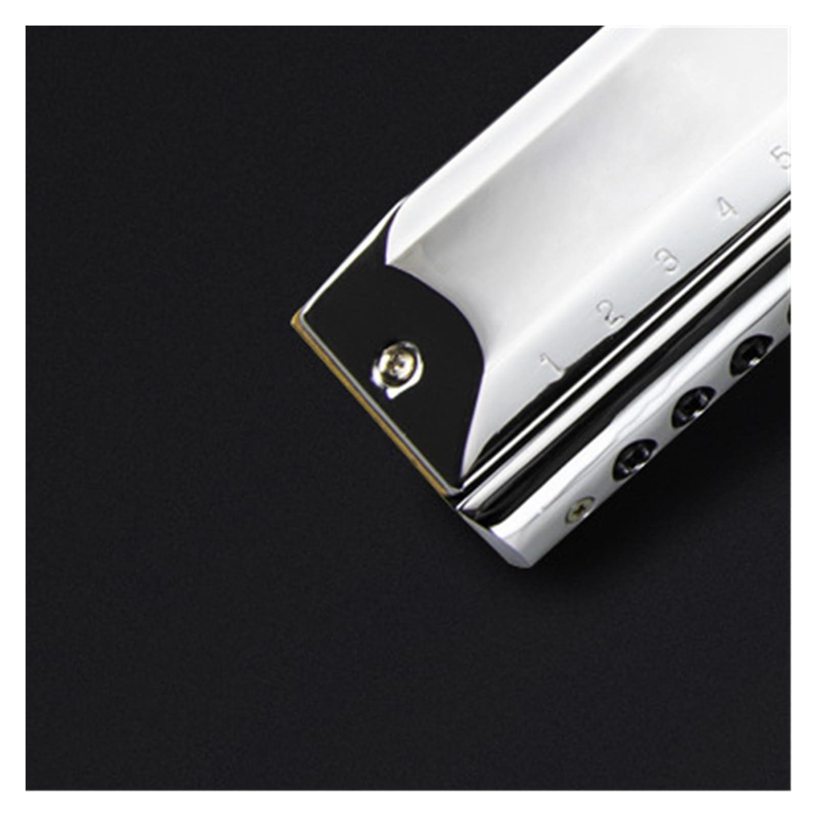 Harmonica Harmonica chromatique 12 trous instrument pour débutant clé C