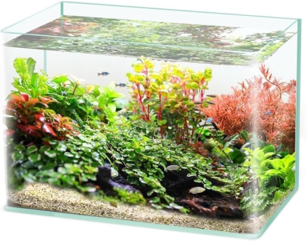 流木 大型75.5cm 超インテリア 形状お任せ 自然流木 特大(約30~50cm