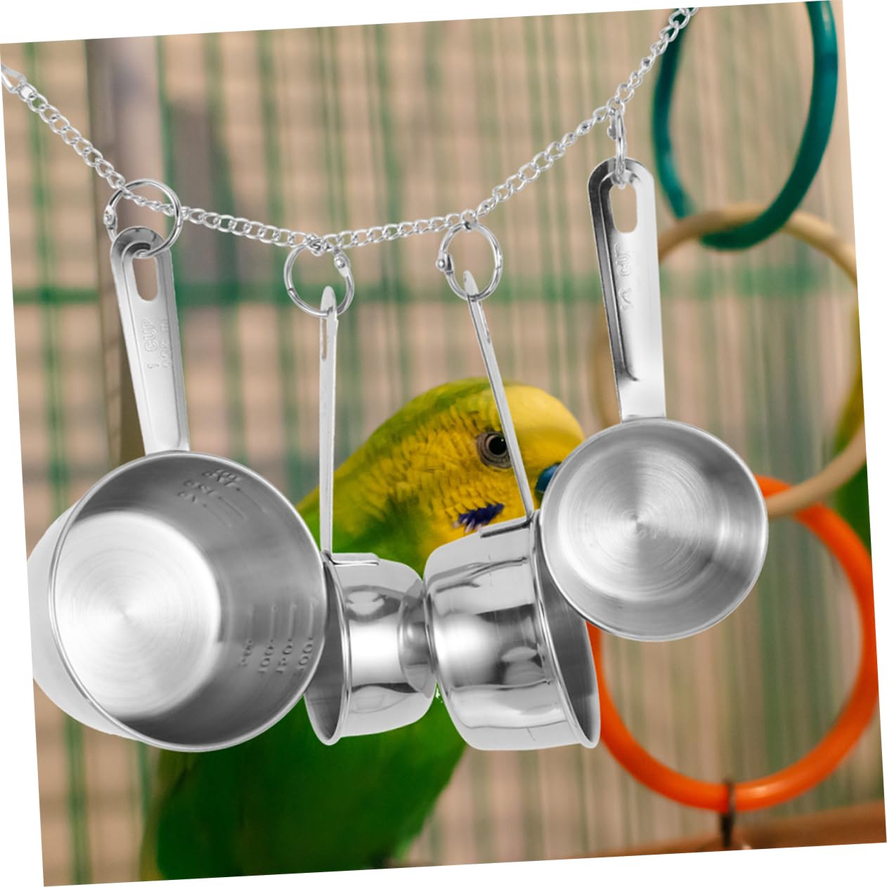 Hemobllo 2pezzi Giocattoli Appesi Per Inossidabile Giocattoli Masticare Per Pappagalli e Parrocchetti Accessori Per Cage Bird Divertimento e Stimolazione Mentale