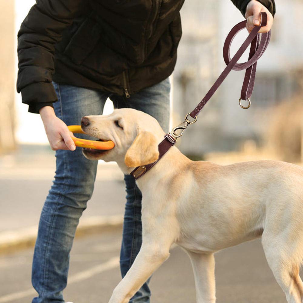 Juego de Correa de Cuero para Perro Personalizado, Correa Personalizada para Collar de Mascota, Placa de identificación grabada para Perros medianos Grandes-Brown_Set_L