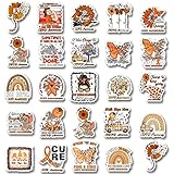 25Pcs COPD Awareness Stickers, Inspirational Waterproof Vinyl Stickers for Water Bottles Book Laptop Car Truck Bicycle Decorations Decorative Accessories CB210, M