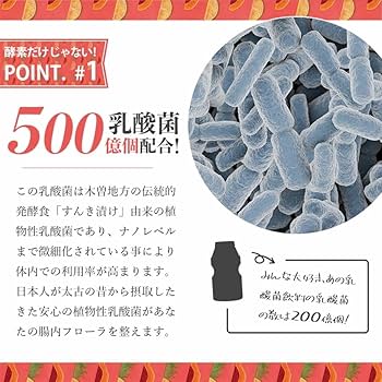 パパパイナ 5個セット Amazon | パパパイナ [ 90g（3g×30包）/ 1袋 ] パイナップル風味