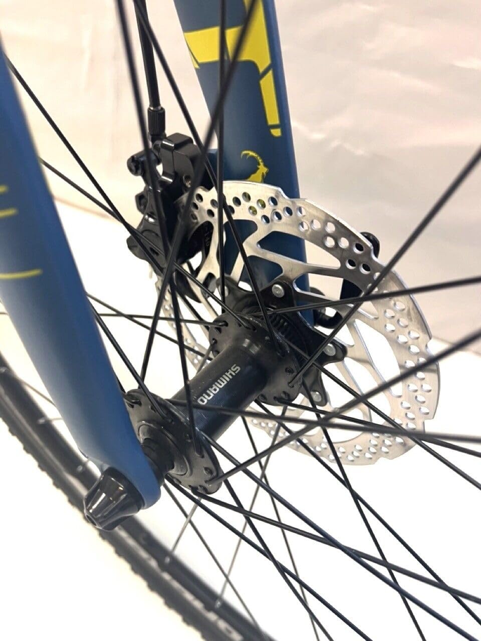 Corelli Goat 1.0 Gravel Bike, marco de aluminio, neumáticos de 700 x 35 c, cambio de 16 velocidades
