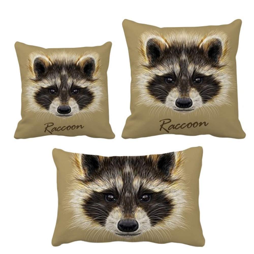 Coussin de parure raccoon pour raviver un canapé terne et sans vie