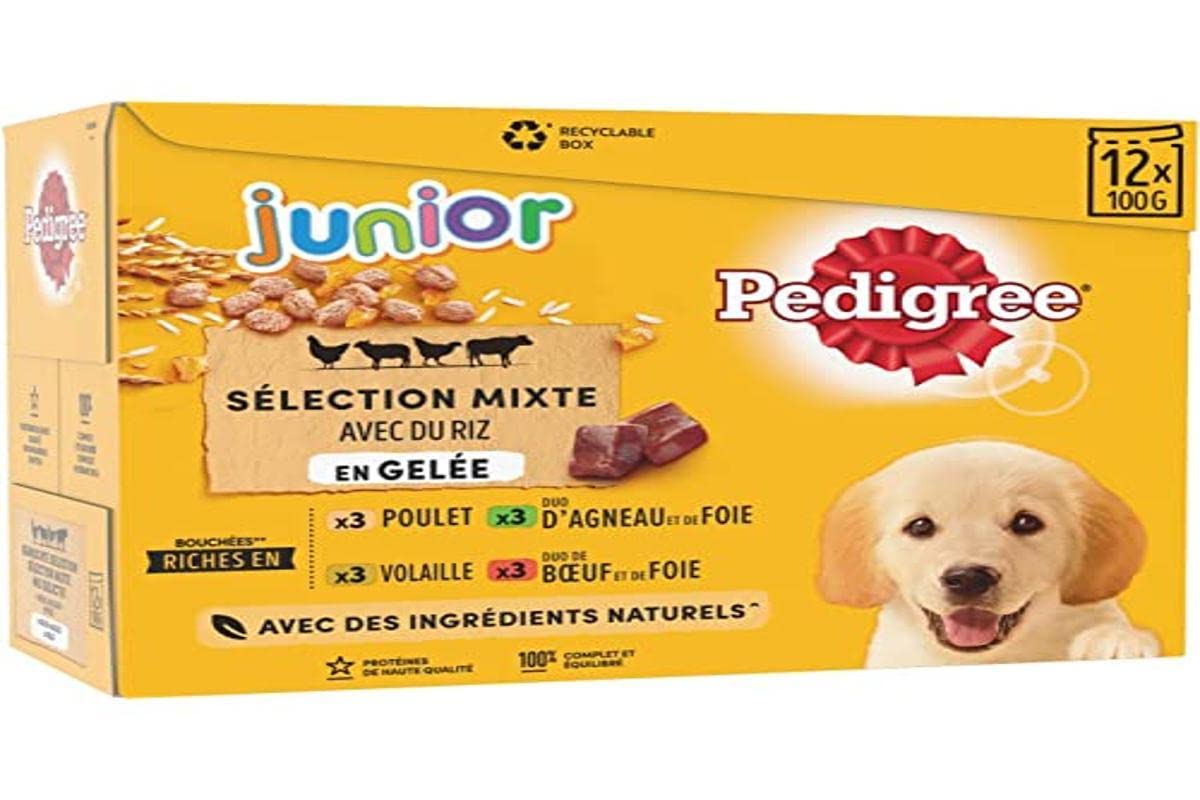 Pedigree Junior Selección Mixta Bolsas Frescura en Jalea - Comida para Perros Junior - 4 sabores Diferentes - 48 bolsitas de 100 g
