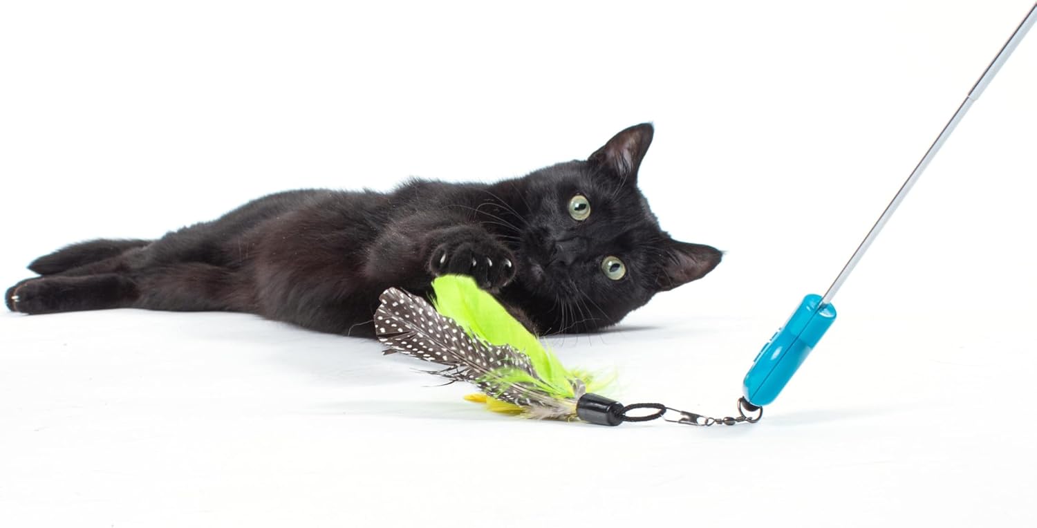 külot orqali toliq figurali etuk ayollar porno