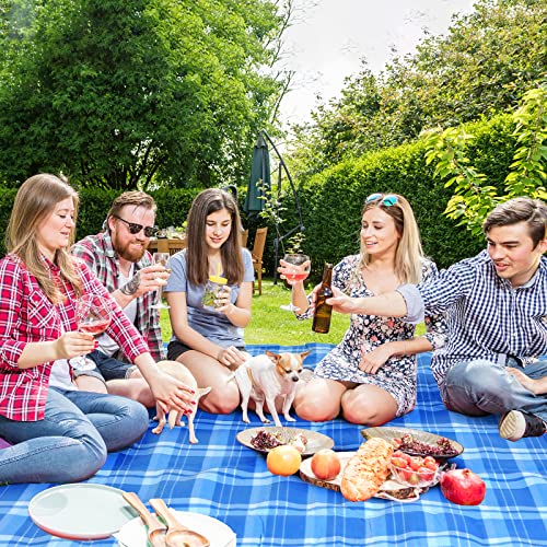 LIFERUN 300x300 cm Picknickdecke XXL, Picknickdecke Wasserdicht mit isoliert Rückseite, Tragegriff, für Camping, Picknick, Wandern, BBQ, Strand, Reisen, bis zu 20 Personen, Blau Kariert
