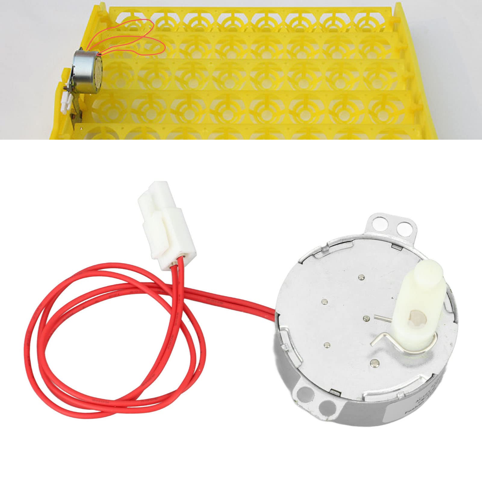Fdit Moteur de Retourneur D'oeufs, 48 ​​Moteurs de Retournement D'oeufs avec Une Ligne Terminale Petit Moteur D'incubateur Turner Rotator Moteur D'incubateur pour Poulets Canards Oie (12v)