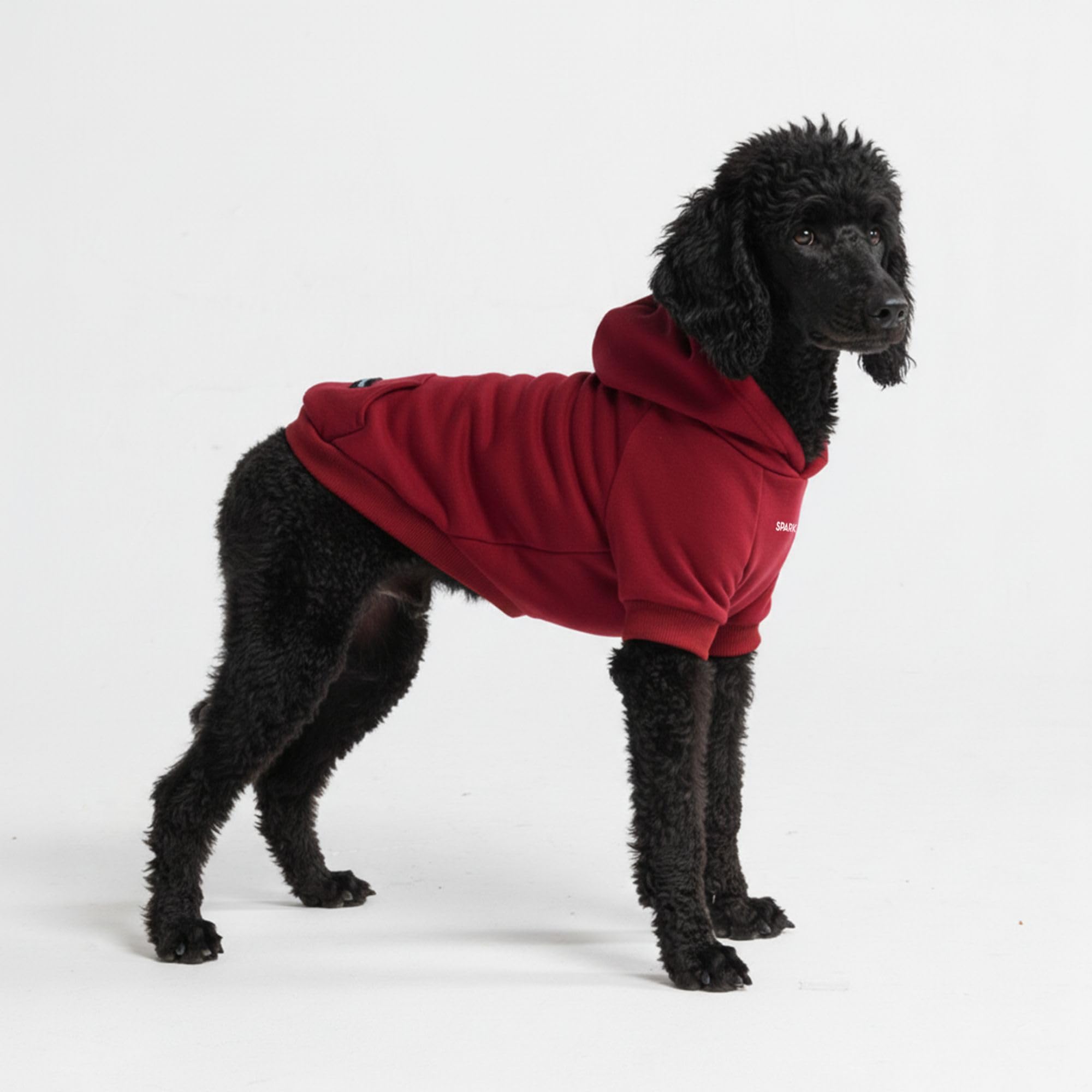 Spark Paws Dog Hoodie - Buttery-Soft Sweater Sweatshirt, Clothes for Puppy